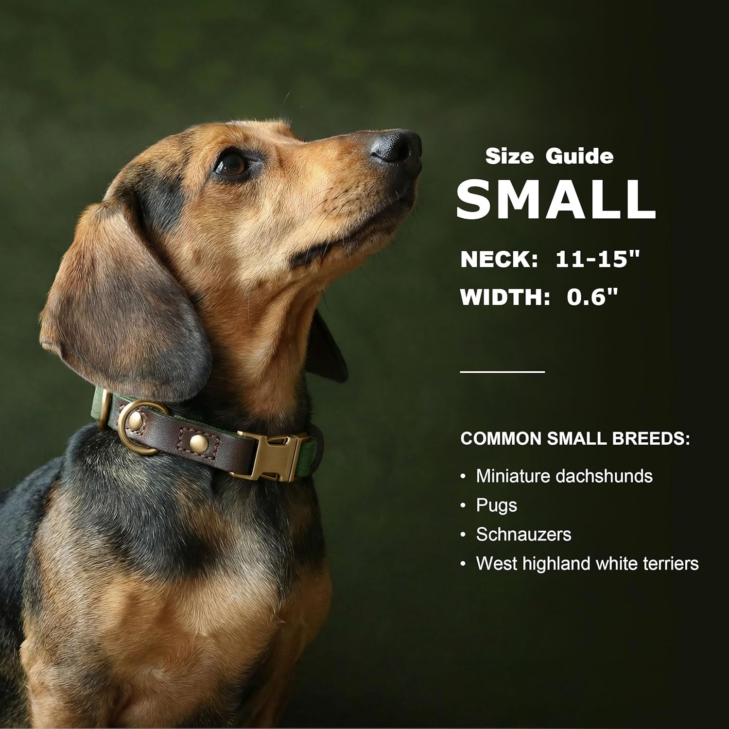 Soft PU Leather Dog Collars for Small Dogs,Classic Adjustable Dog Collars with Quick Release Metal Buckle,Easy Clean and Comfortable with Nylon Lining,Green,S Neck 11-15"
