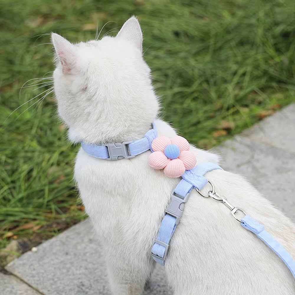 Adjustable Dog Harness for Small Dog Leash Breashable Small Cat Harness and Leash Sets Pet Harness Out Walking Dog Accessories