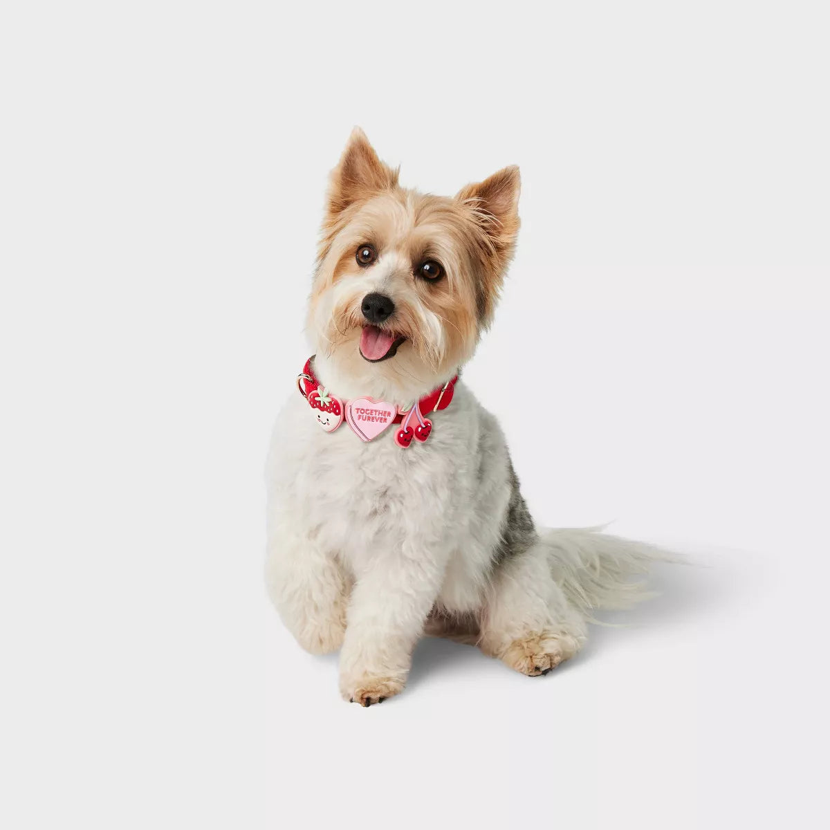 Charms Dog Collar Slides - Boots & Barkley™ One Size Fits Most