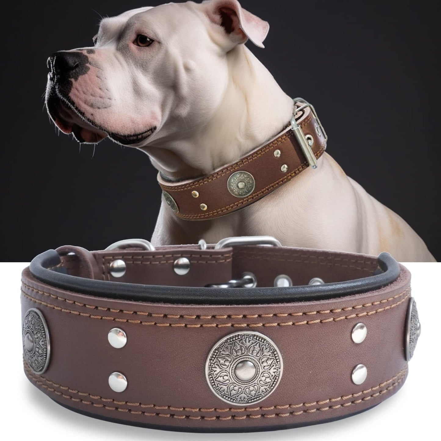 Leather Dog Collar, 2 Inches Wide Heavy Duty Genuine Leather Collars, Handmade, Soft, and Luxury, Eye-Catching Best Choice for Large and Medium Breed Dogs, Orange 18.5-22.5 In