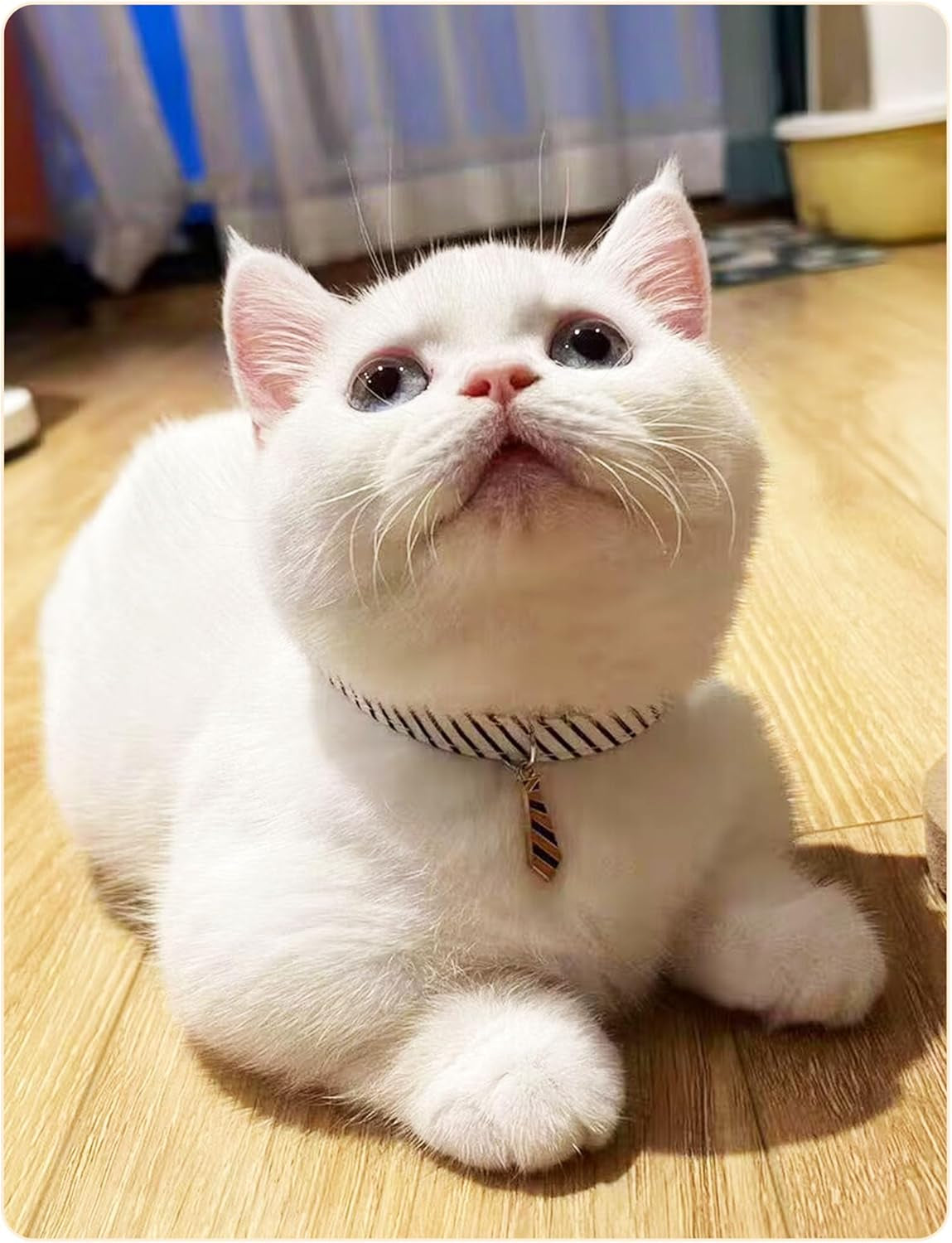 3 Pack Classic Stripes Cat Collars - Breakaway Kitten Collar and Adjustable 7.8-11.8 In，Cute Neckties Kitty Collar for Wedding Formal and Party