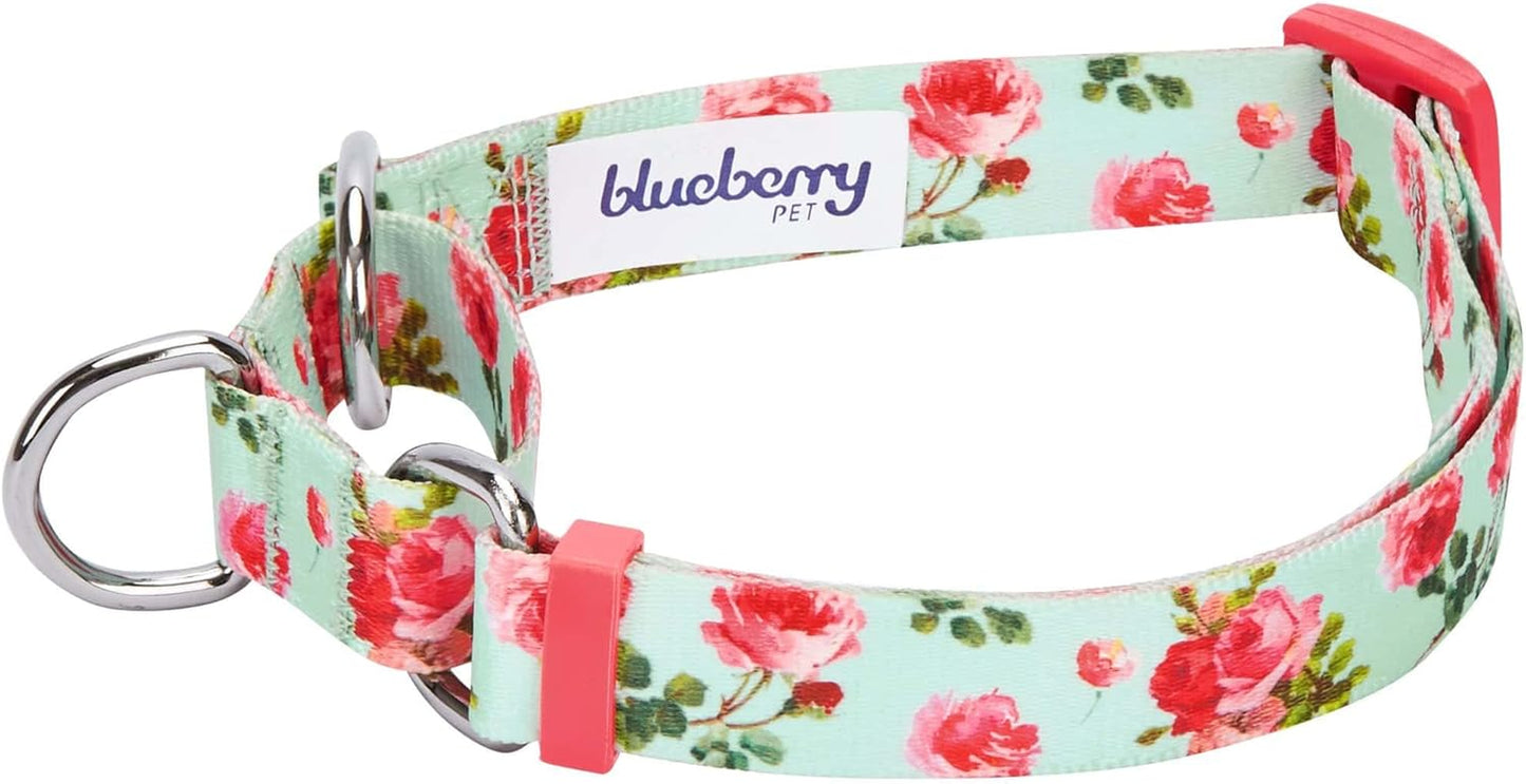 Spring Scent Inspired Rose Print Martingale Safety Training Dog Collar, Turquoise, Small, Heavy Duty Adjustable Collars for Dogs