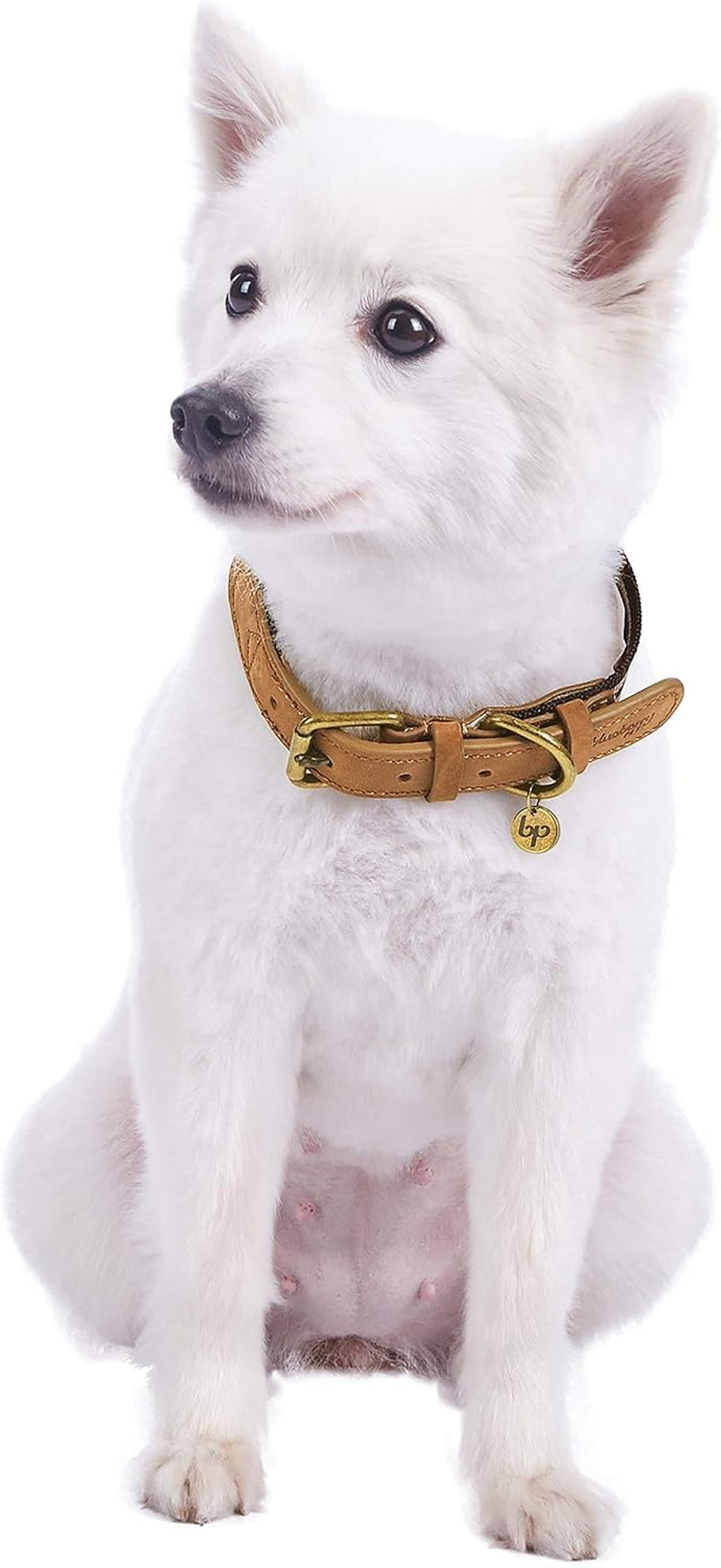 Soft & Comfy Leather Dog Collar - Adjustable Dog Collars for Small Dogs, Genuine Leather Collar for Dogs, Classic Striped Leather Dog Collars, Small, Neck 12"-15"