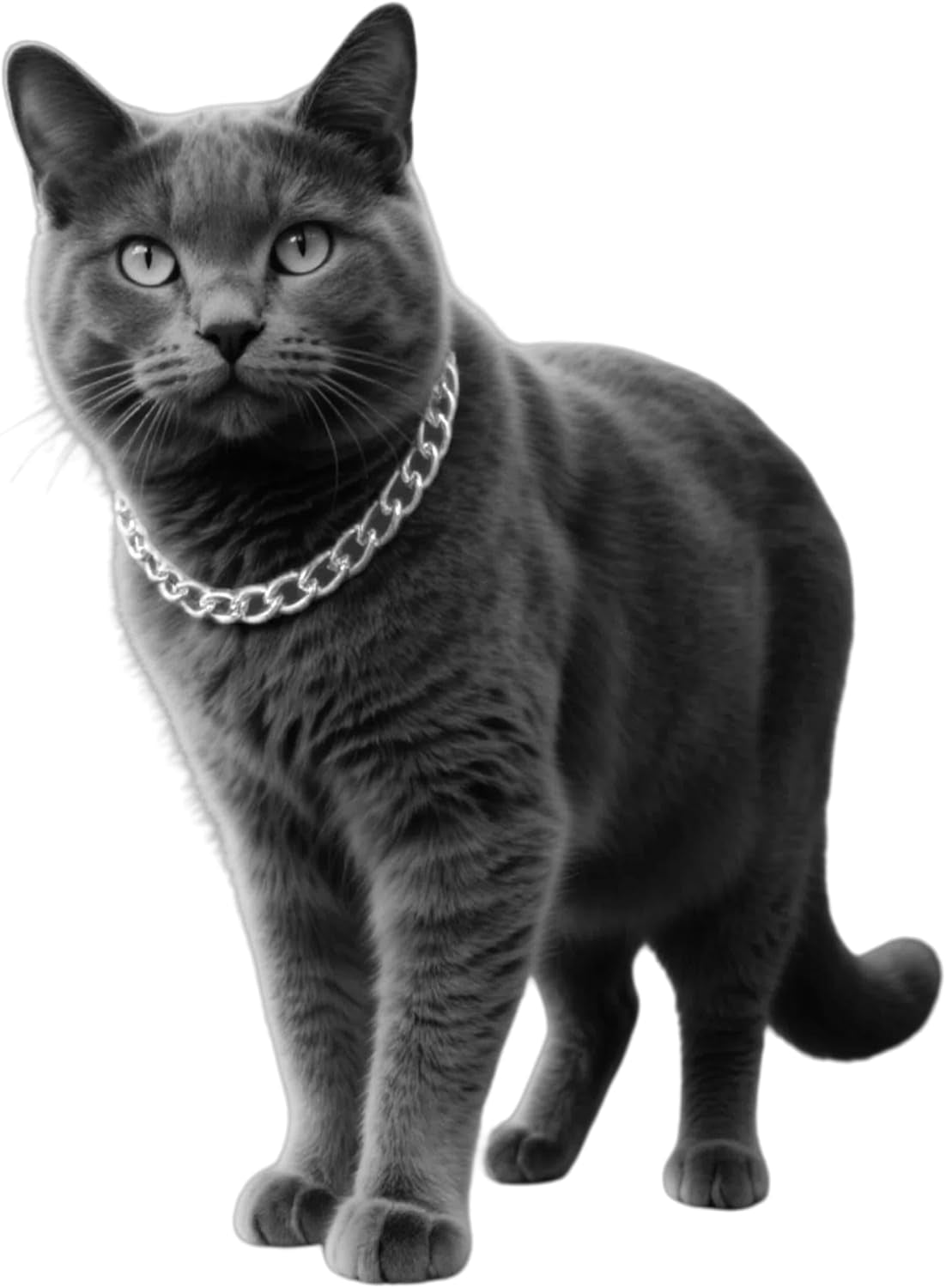 Gold Cat Chain Collar,Adjustable Cuban Link Necklace for Cats, Lightweight & Durable Metal Pet Jewelry, Stylish Decorative Accessory (Gold, S)