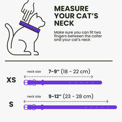 Leather Cat Collar with Removable Bells Non Breakaway Kitten QR Tag for Girl Boy (7" - 9" for Cats, Purple & Gold)