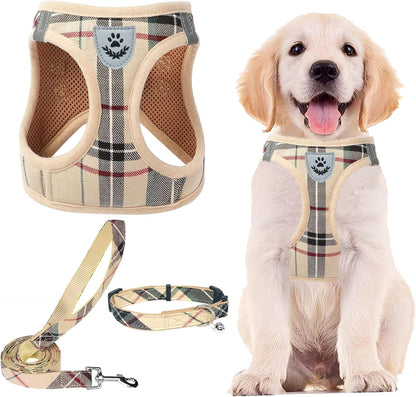 Adjustable Pet Harness Collar &Leash Set Step in for Small Dogs Puppy &Cats Outdoor Training &Running, Soft Mesh Padded Reflective Vest Harness,M: Chest Girth: 16-18In Collar: 11.8-15.7In