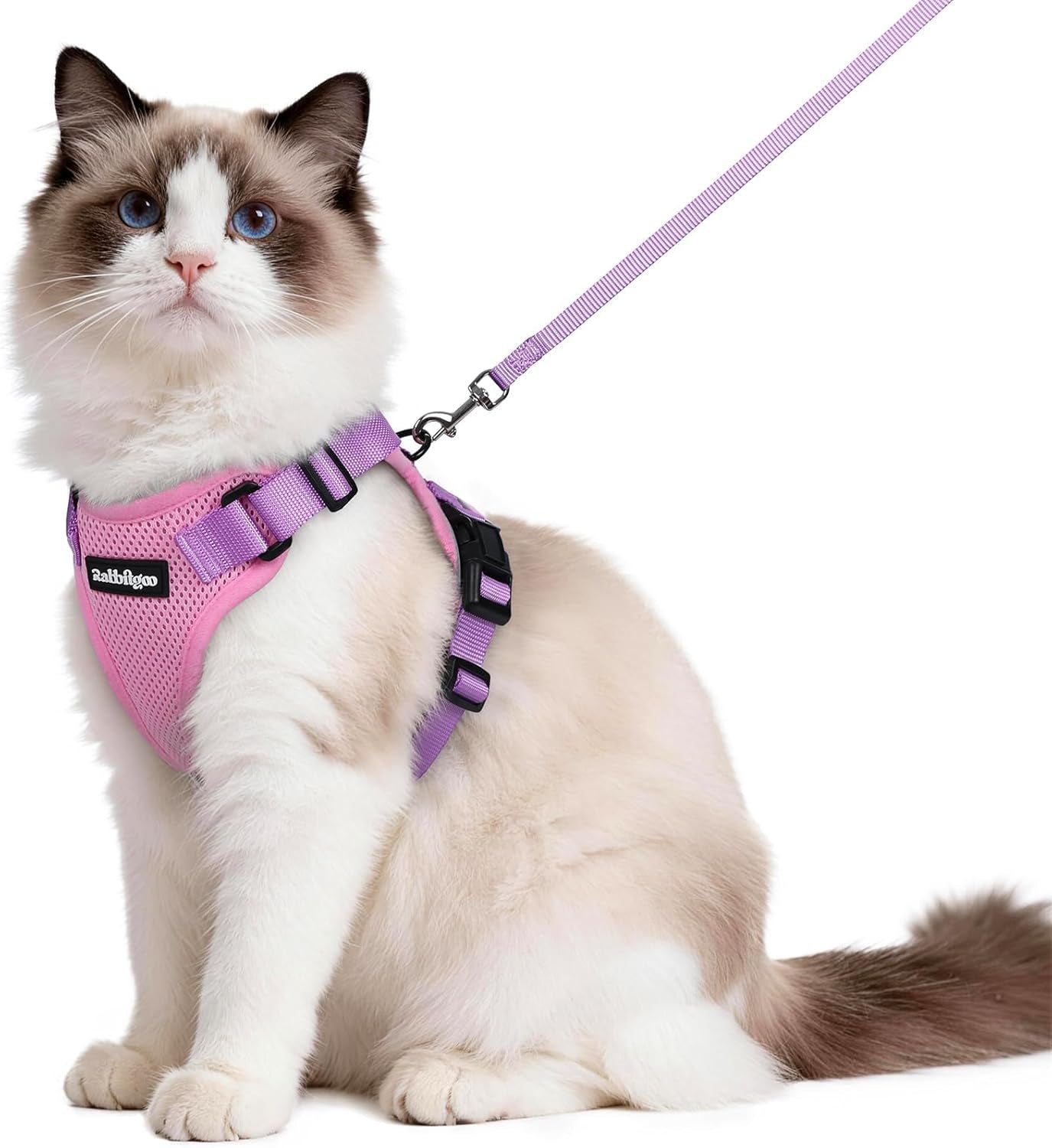 Cat Harness and Leash for Walking, Escape Proof Soft Adjustable Vest Harnesses for Cats, Easy Control Breathable Reflective Strips Jacket, Black, XS