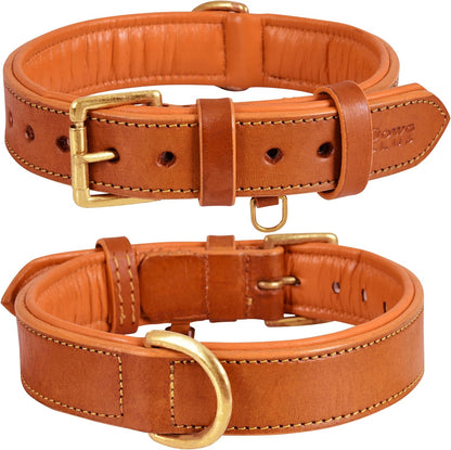 Genuine Leather Dog Collar | Full Grain, Heavy Duty, Comfortable, Padded, Strong | Best for Pups, Small, Medium, Large & XL Breeds (Small (Fit Neck Size 11.5"-14.5"), Dark Pink)