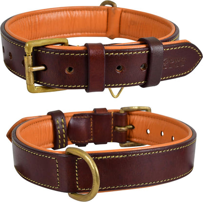 Genuine Leather Dog Collar | Full Grain, Heavy Duty, Comfortable, Padded, Strong | Best for Pups, Small, Medium, Large & XL Breeds (Medium (Fit Neck Size 14.5"-18.5"), Teal Green)