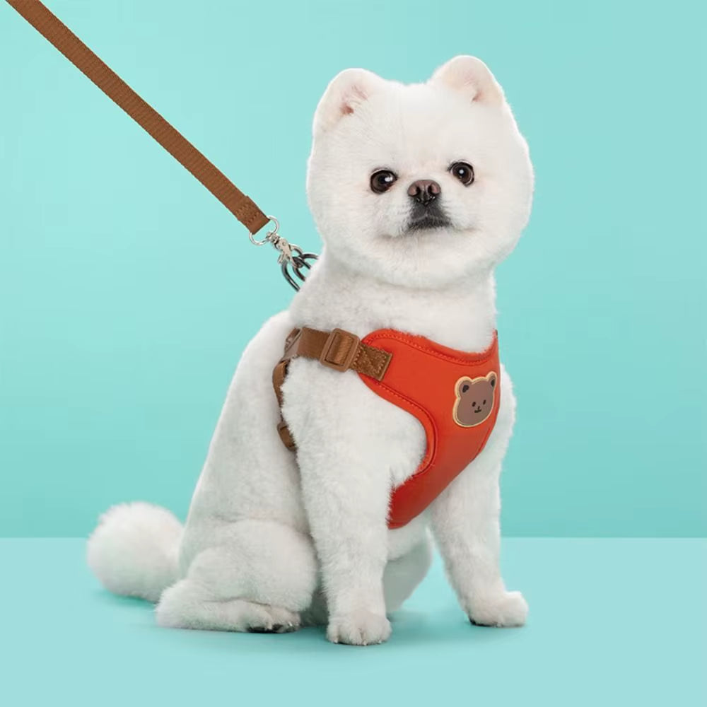 Creative Cute Pet Harness Leash Anti-Escape Adjustable Cat Chest Strap Vest No Pull Dog Collar Harness for Small Medium Dog Cat