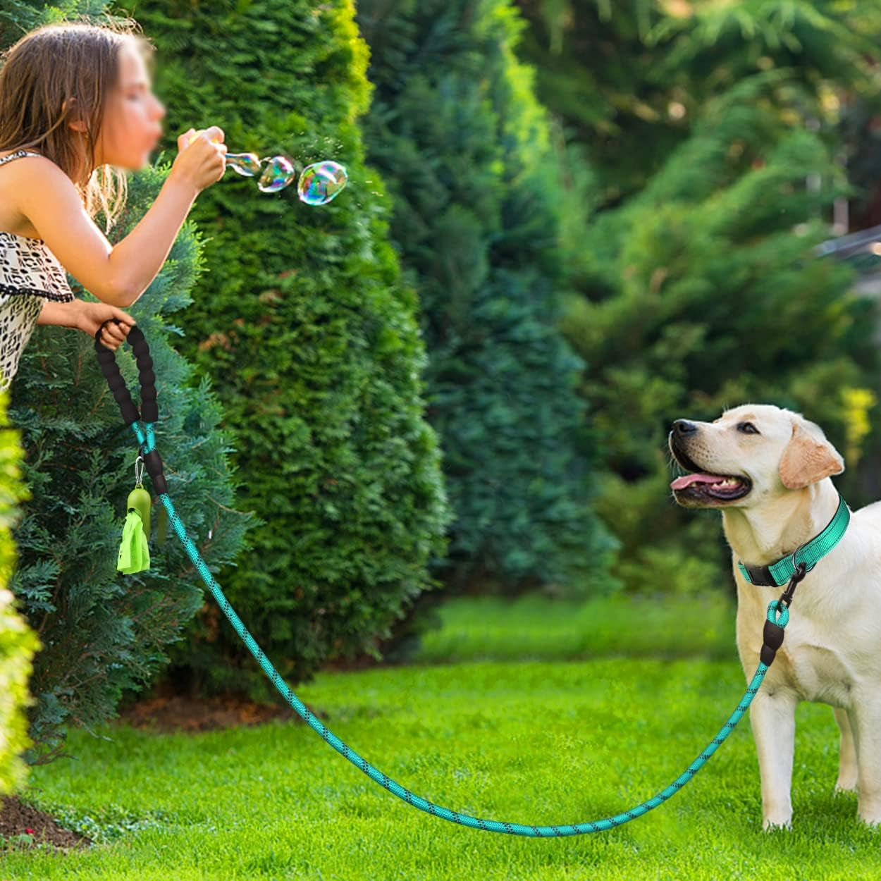 Reflective Dog Collar and Leash Set, 6FT Strong Climbing Rope Leash with Padded Handle, Adjustable Pet Collar with Soft Neoprene Padding for Large Dogs, Teal, L