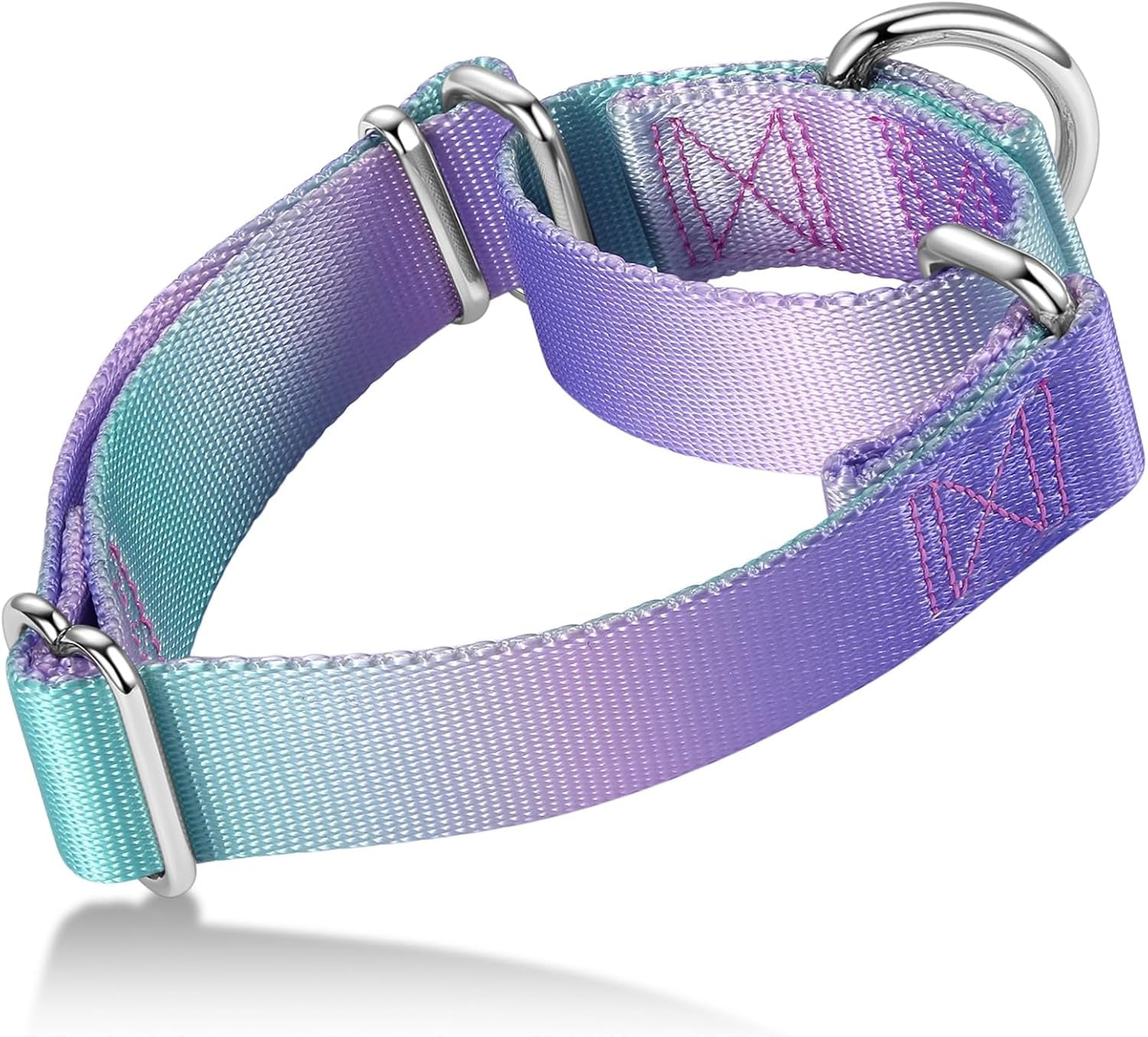 Martingale Dog Collar Colorful Gradient Fashionable - Anti-Escape Soft Durable Pets Collar for Walking Training Outdoor Daily Use -Medium,Turquoise Gradient