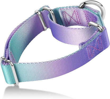 Martingale Dog Collar Colorful Gradient Fashionable - Anti-Escape Soft Durable Pets Collar for Walking Training Outdoor Daily Use -Medium,Turquoise Gradient