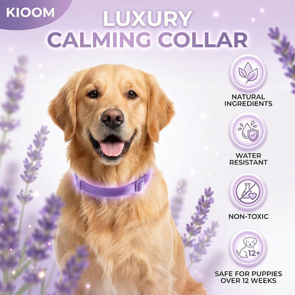 4 Pack Calming Collars for Dogs - Adjustable Silicone for 60 Days of Pheromone Anxiety Relief and Separation Support