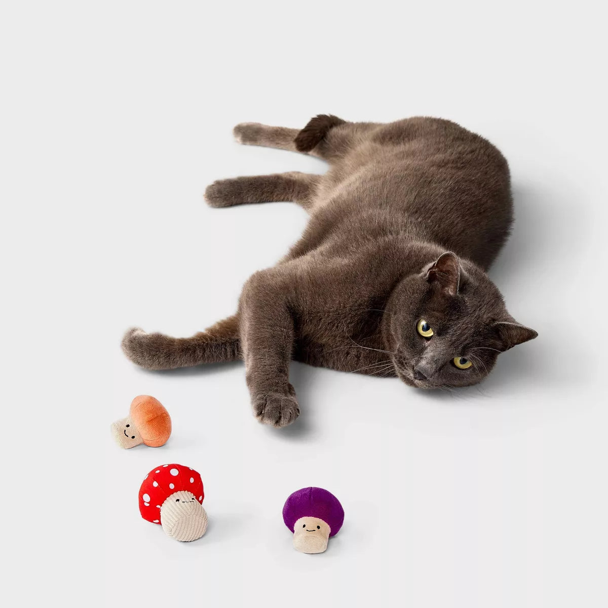 Toadstool Friends Cat Plush Toy Set - 3Pc - Boots & Barkley™
