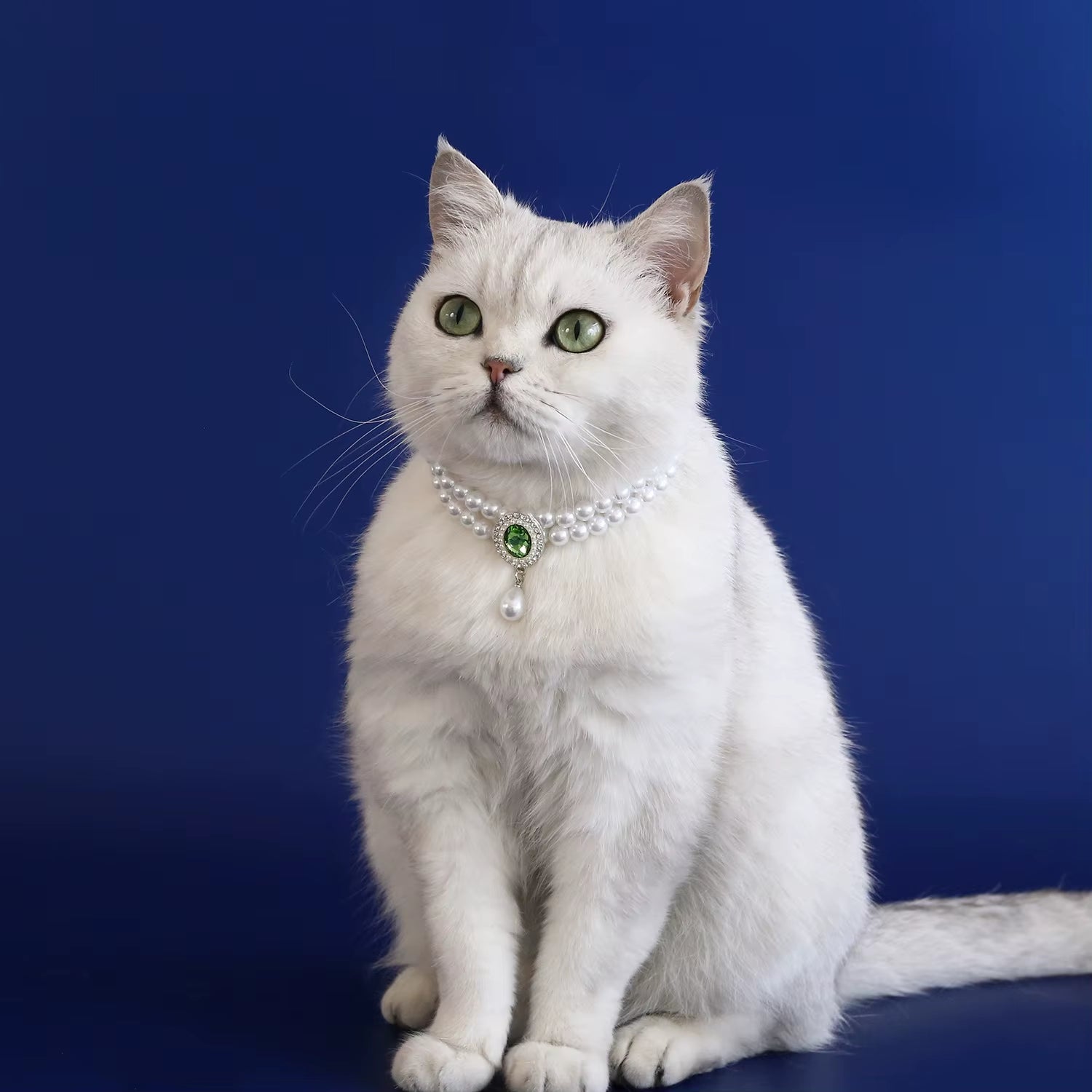 Wholesale Dog Cat Pearl Necklace Jewelry Diamond Pendant Adjustable Luxury Pet Collar Wedding Birthday Prom Costume Accessories