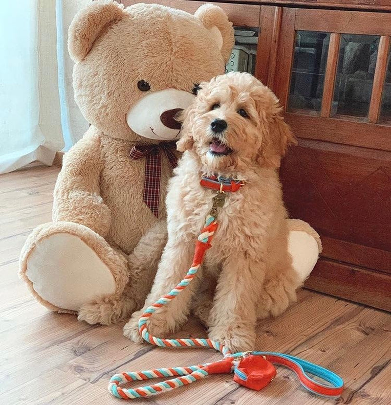 5Ft Braided Cotton Rope Leash with Soft Padded Genuine Leather Handle for Dogs - Handmade Comfort & Cute - Orange | Blue