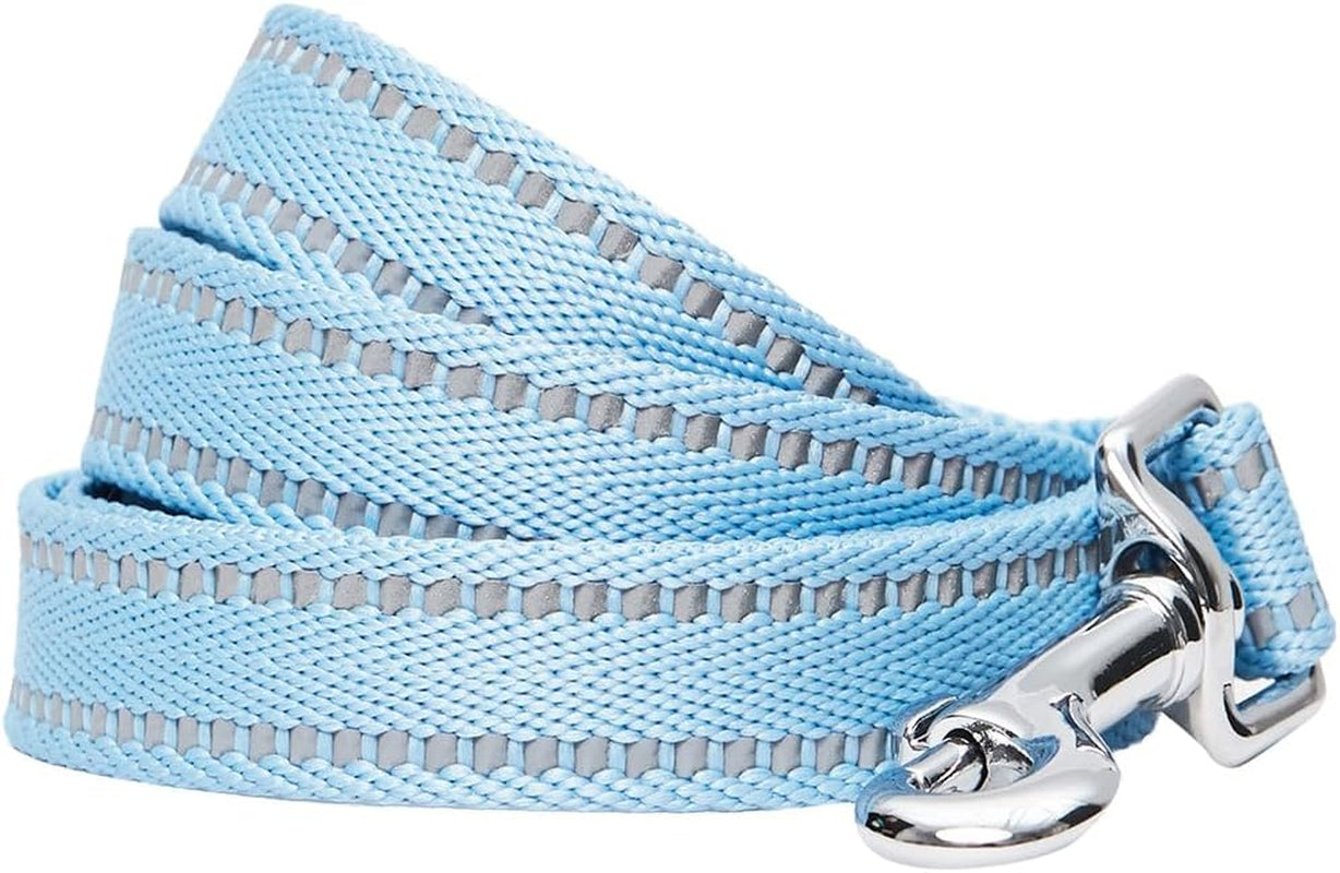 Essentials Durable Pastel Color Reflective Dog Leash, 5 Ft X 3/4", Baby Blue, Medium, Leashes for Dogs