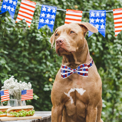 Patriotic 4th of July Dog Collar with Removable Bow Tie - Adjustable Red, White & Blue USA Stars for All Dog Sizes