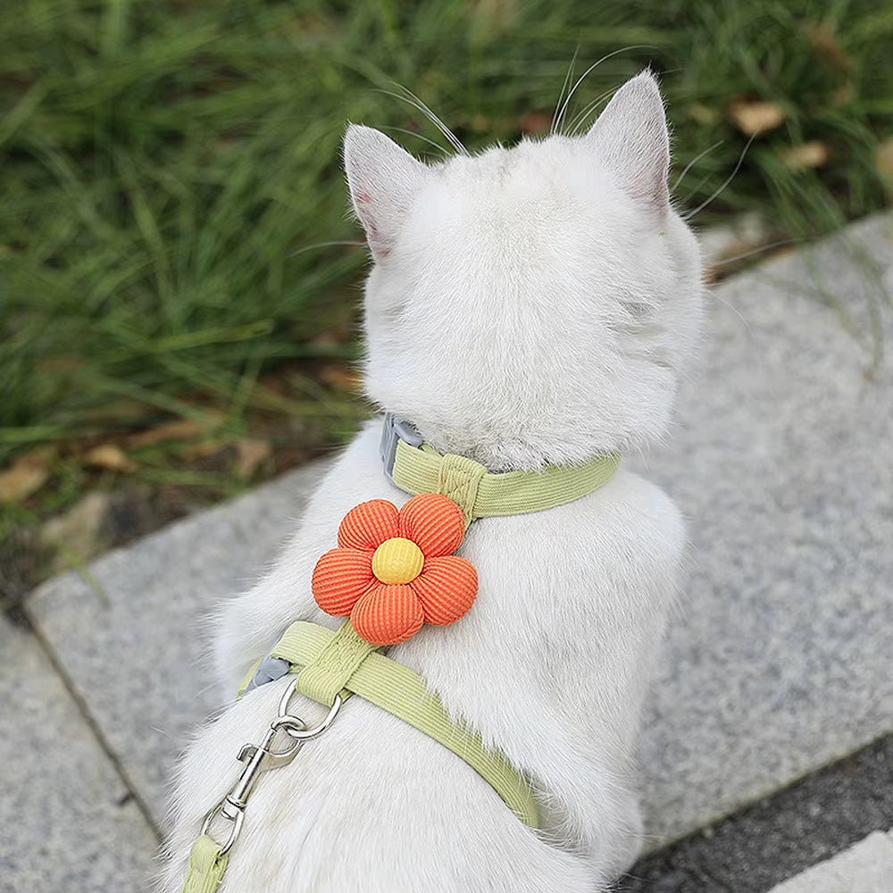 Adjustable Dog Harness for Small Dog Leash Breashable Small Cat Harness and Leash Sets Pet Harness Out Walking Dog Accessories