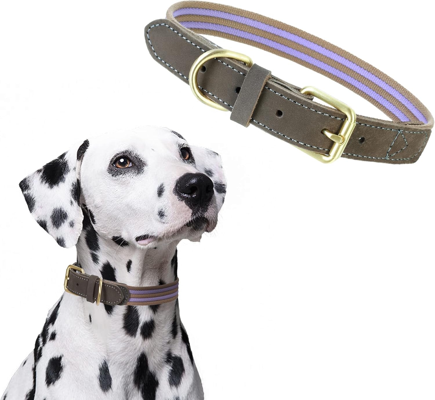 | Genuine Leather Dog Collar | Heavy Duty Canvas Dog Collars with Adjustable Rust-Proof Metal Pin Buckle | Boy Dog Collars for Medium Dogs(Pin Buckle-Turquoise Green)
