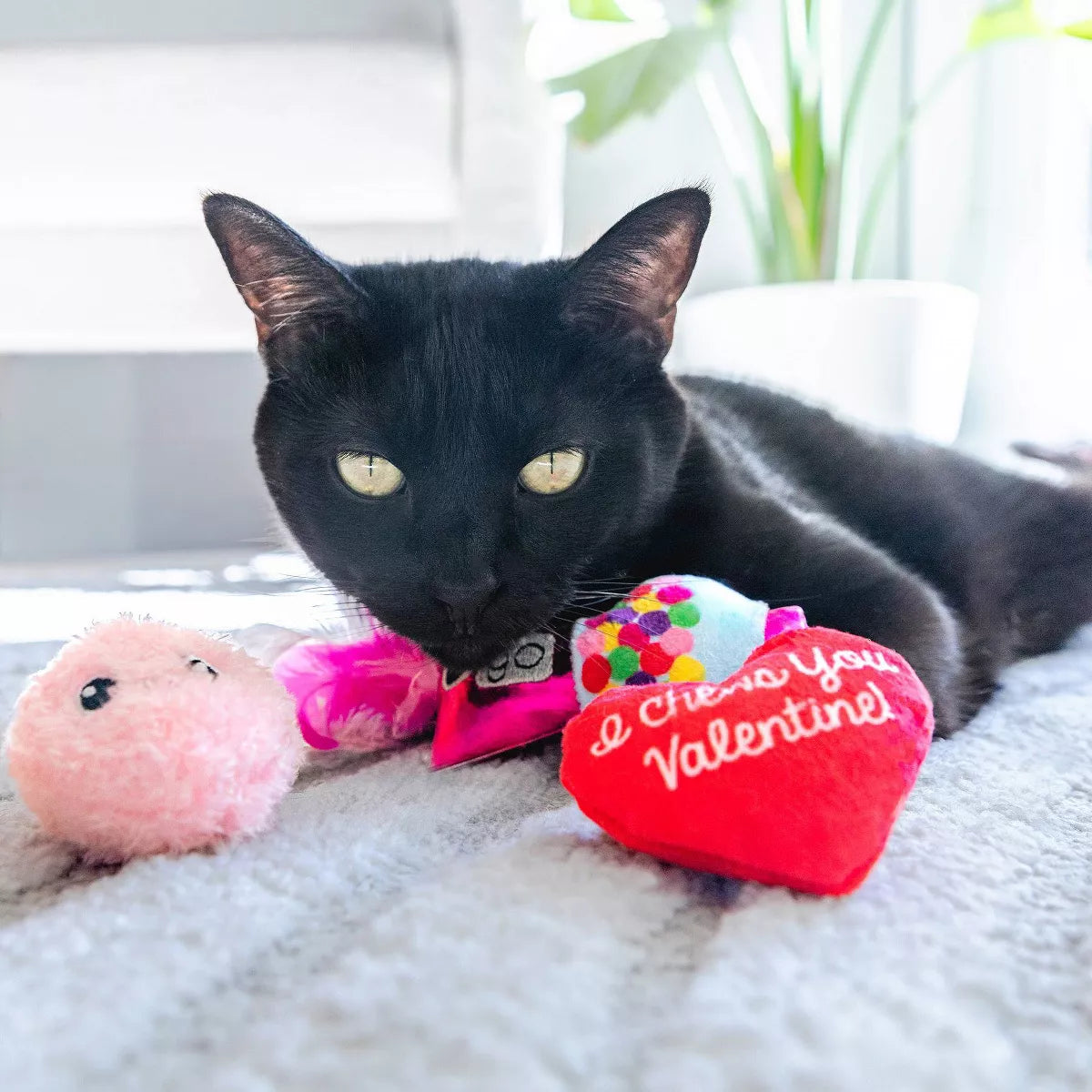 Quirky Kitty I Chews You Plush Cat Toy