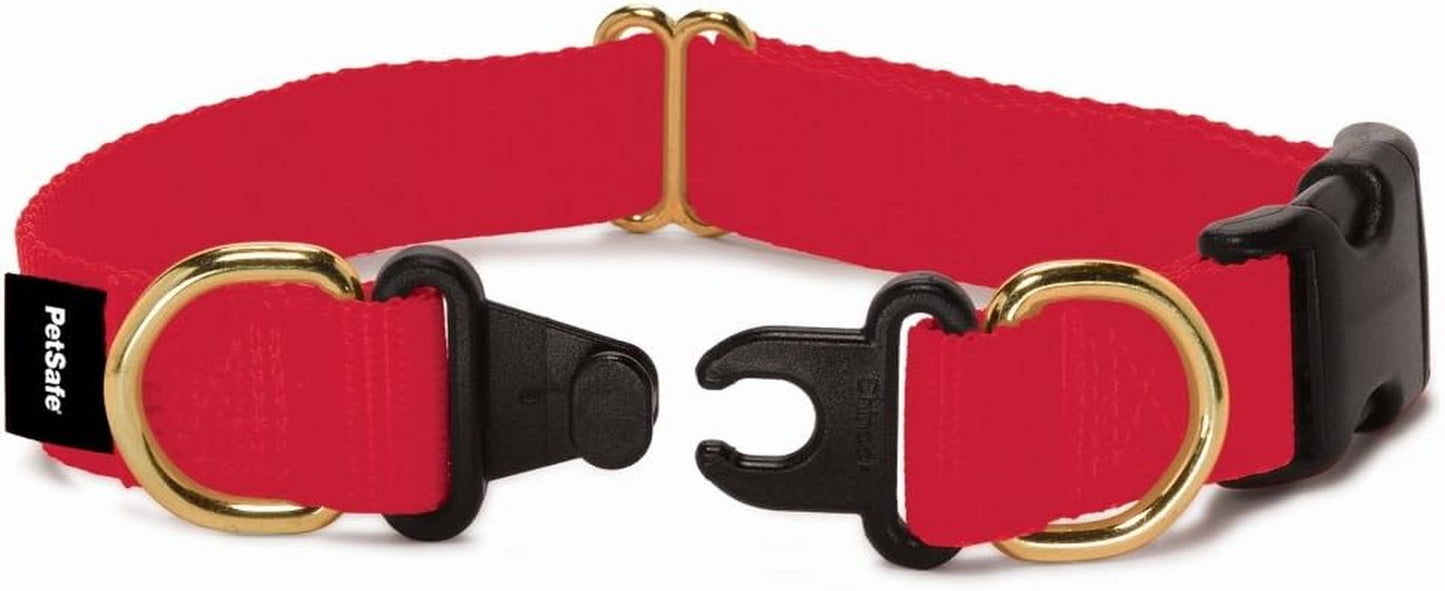 Keepsafe Collar for Dogs - Protects against Collar Accidents - Long Lasting - Durable - Adjustable - Breakaway - Outdoor-Safe - Large - 1 In. Wide - Black