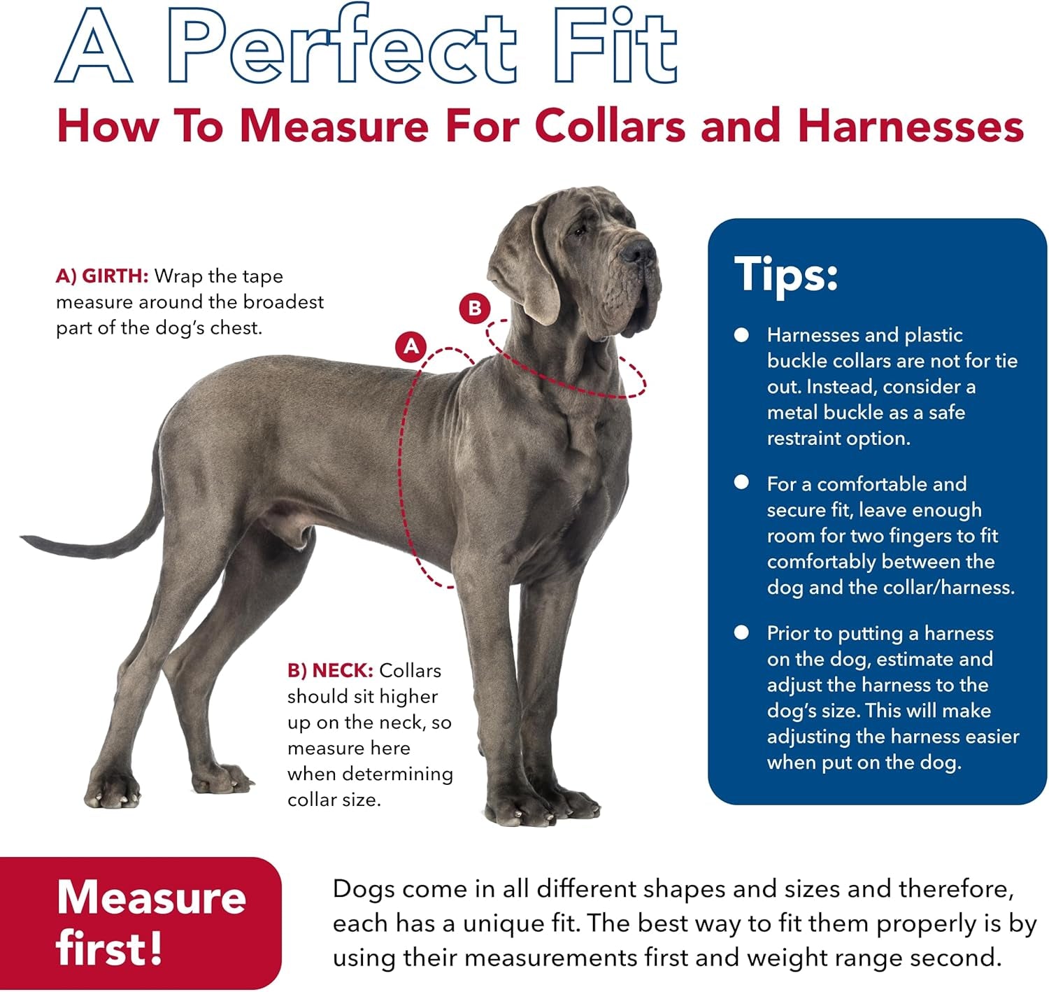 Pet K9 Explorer Reflective Adjustable Dog Collar - Comfortable Collar for the Outdoors - Durable, Lightweight Accessory with Side-Release Buckle - Berry, 5/8" X 8-12"
