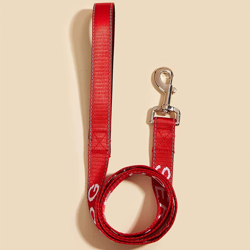 2.5*120Cm Service Dog Leash with Neoprene Handle, Animal Support, Embroidery Letter, Reflective Dog Lead