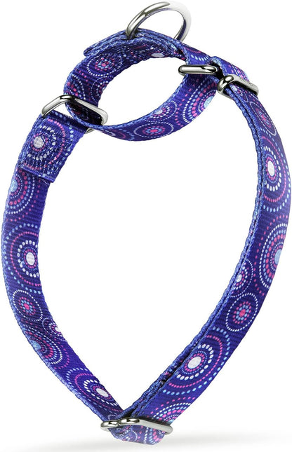 Martingale Dog Collar No Pull Pet Collar Heavy Duty Dog Martingale Collars Silky with Unique Geometric Pattern for Medium and Large Dogs (Large, Turquoise)