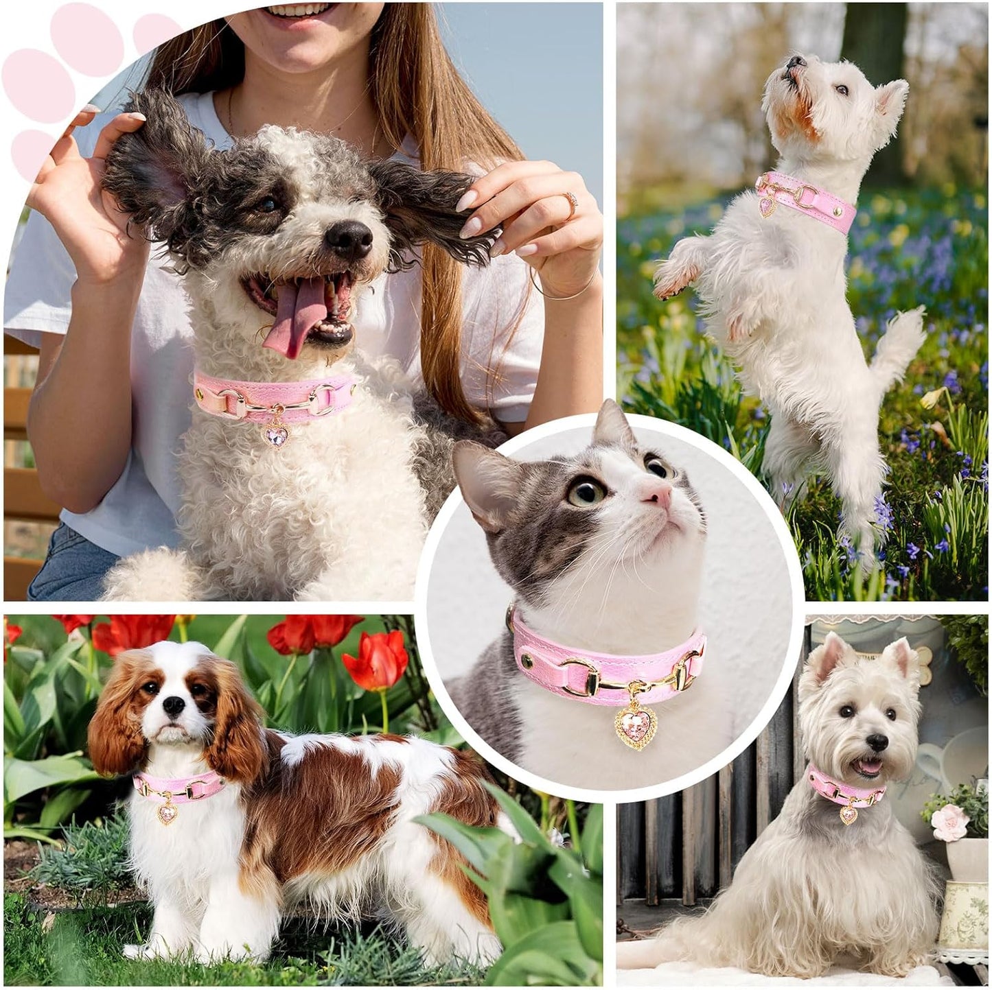 Cute Small Dog Cat Collar, Unique PU Leather - Bling Sparkle in the Sunlit, Puppy Collars with Rhinestone Heart Pendant, Pet Dog Necklace Collar Chihuahua (Pink, XS (Neck 8"-10"))