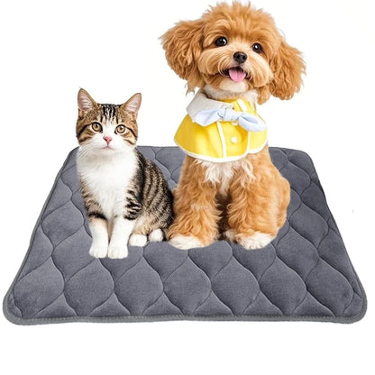 Dog Crate Bed Dog Crate Pad Washable Dog Bed Mat for Crate Mats for Dog Cage Mat Dog Kennel Pad Dog Kennel Mat Dog Crate Liner for Small Dogs and Cats,20"X16"