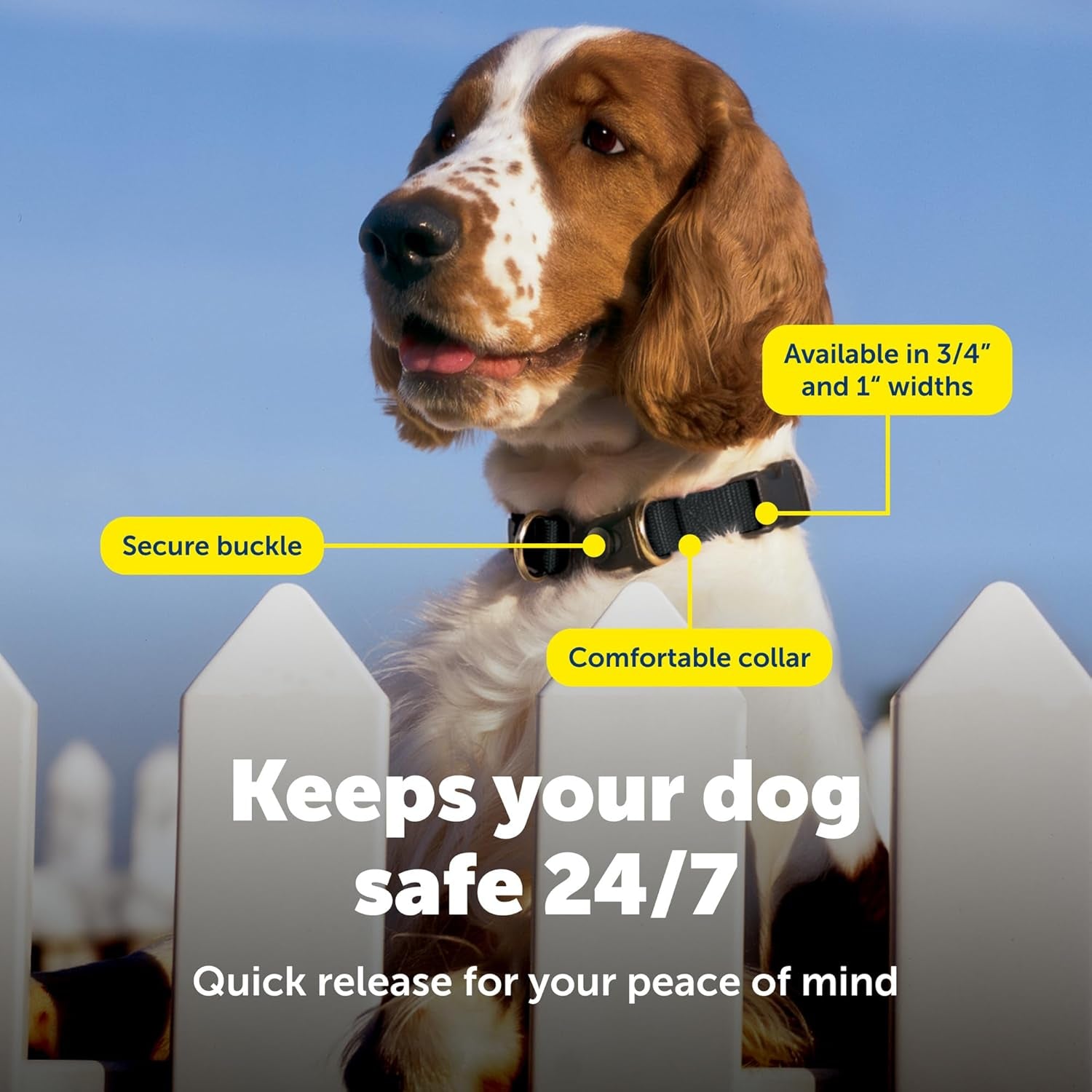 Keepsafe Collar for Dogs - Protects against Collar Accidents - Long Lasting - Durable - Adjustable - Breakaway - Outdoor-Safe - Large - 1 In. Wide - Black
