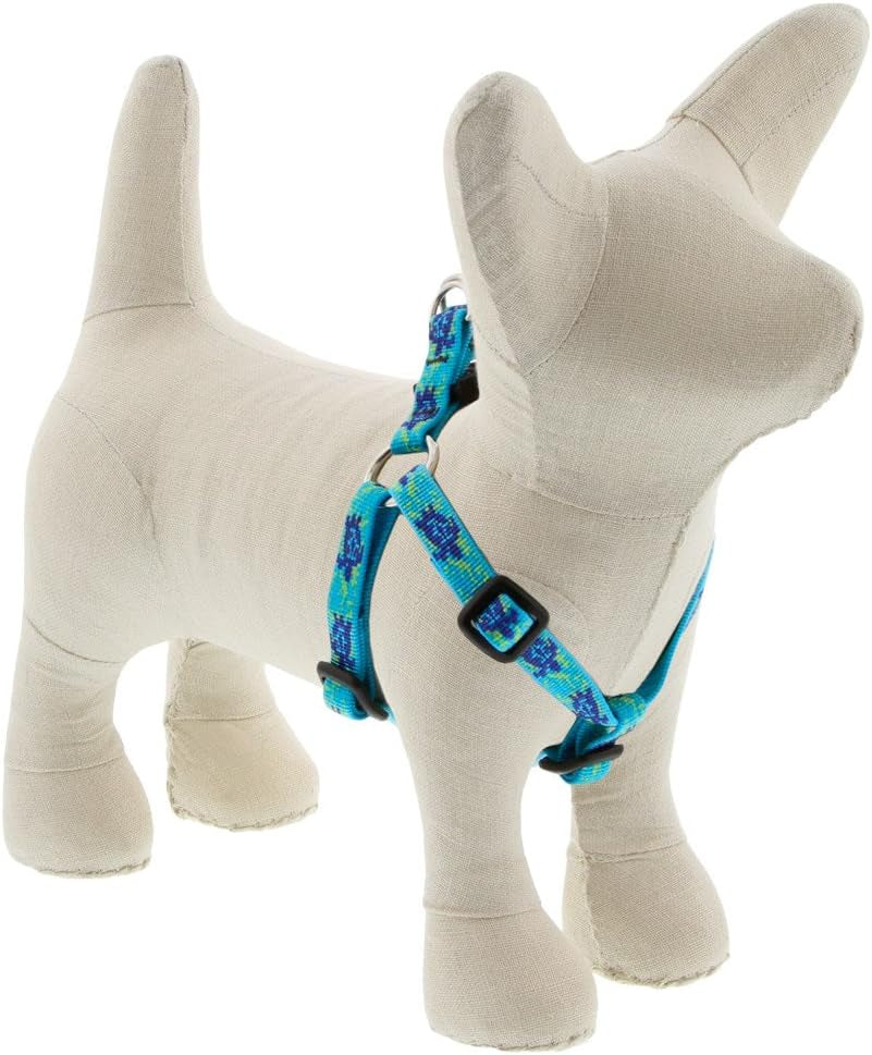 Originals 1/2" Turtle Reef 12-20" Adjustable Roman Dog Harness for Small Dogs