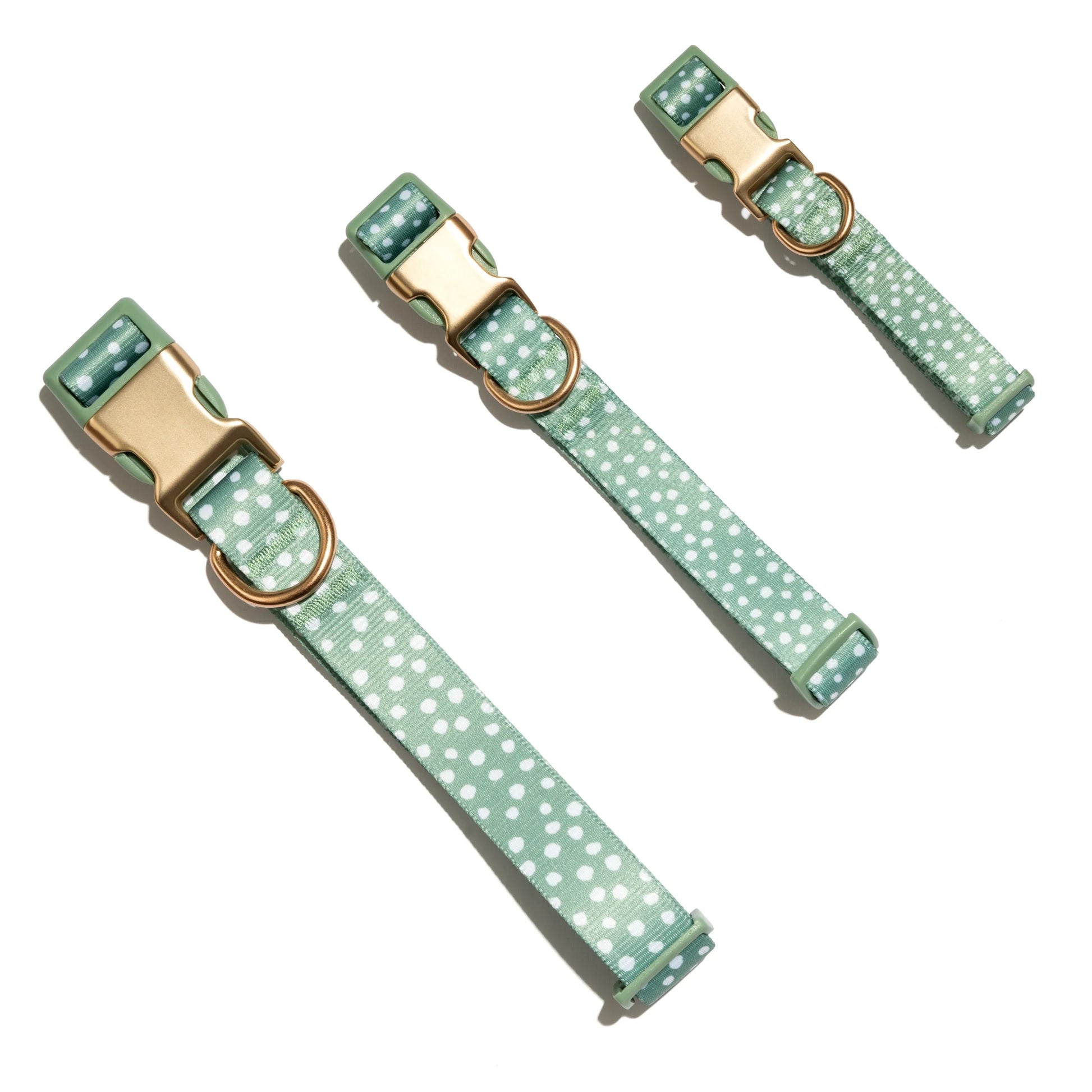 Polka Dot Print Fashion Dog Collar, Metal Buckle, Green, Small