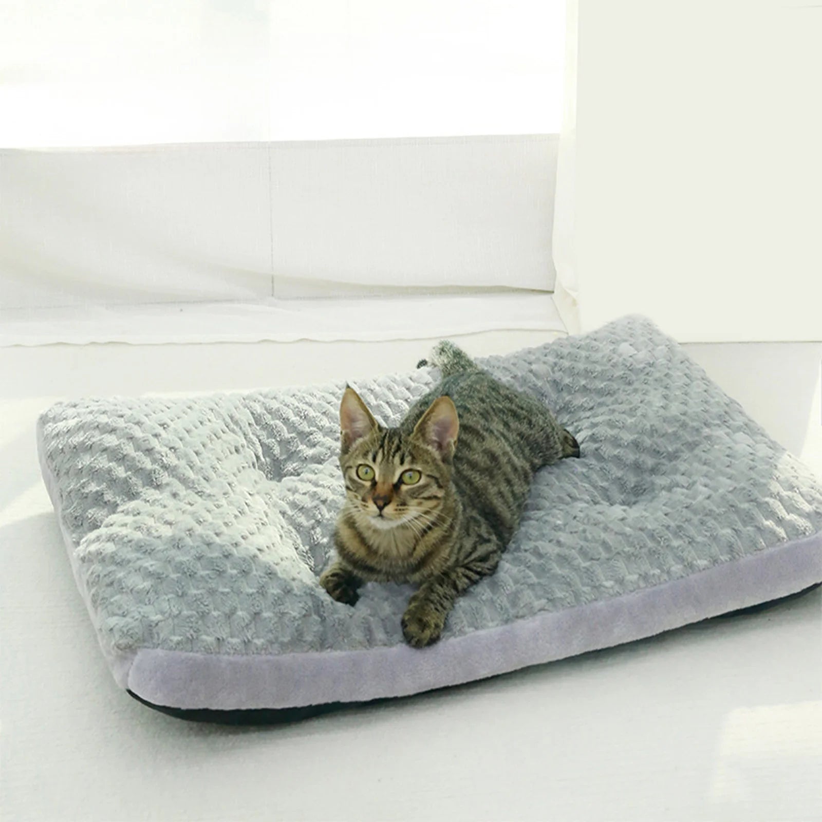 Orthopedic Pet Bed for Dogs and Cats with Thick Padding and Removable Cover,All-Season Comfort Sleeping Mat for Small Medium Pets,Non-Slip Bottom and Breathable Fabric for Home Use