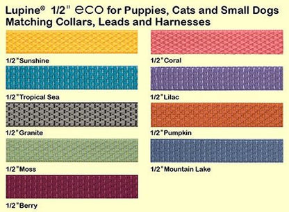 Eco 1/2" Berry Cat Safety Collar with Bell , 8-12"