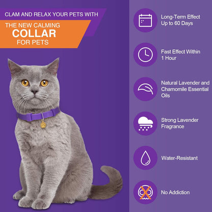 4 Pcs Cat Calming Collar Adjustable Pheromones Scent Relaxing Cat Collar with 2 Pendant for Puppies Reduce Stress Aggression Anxious, up to 15 Inches(Purple, Gold)