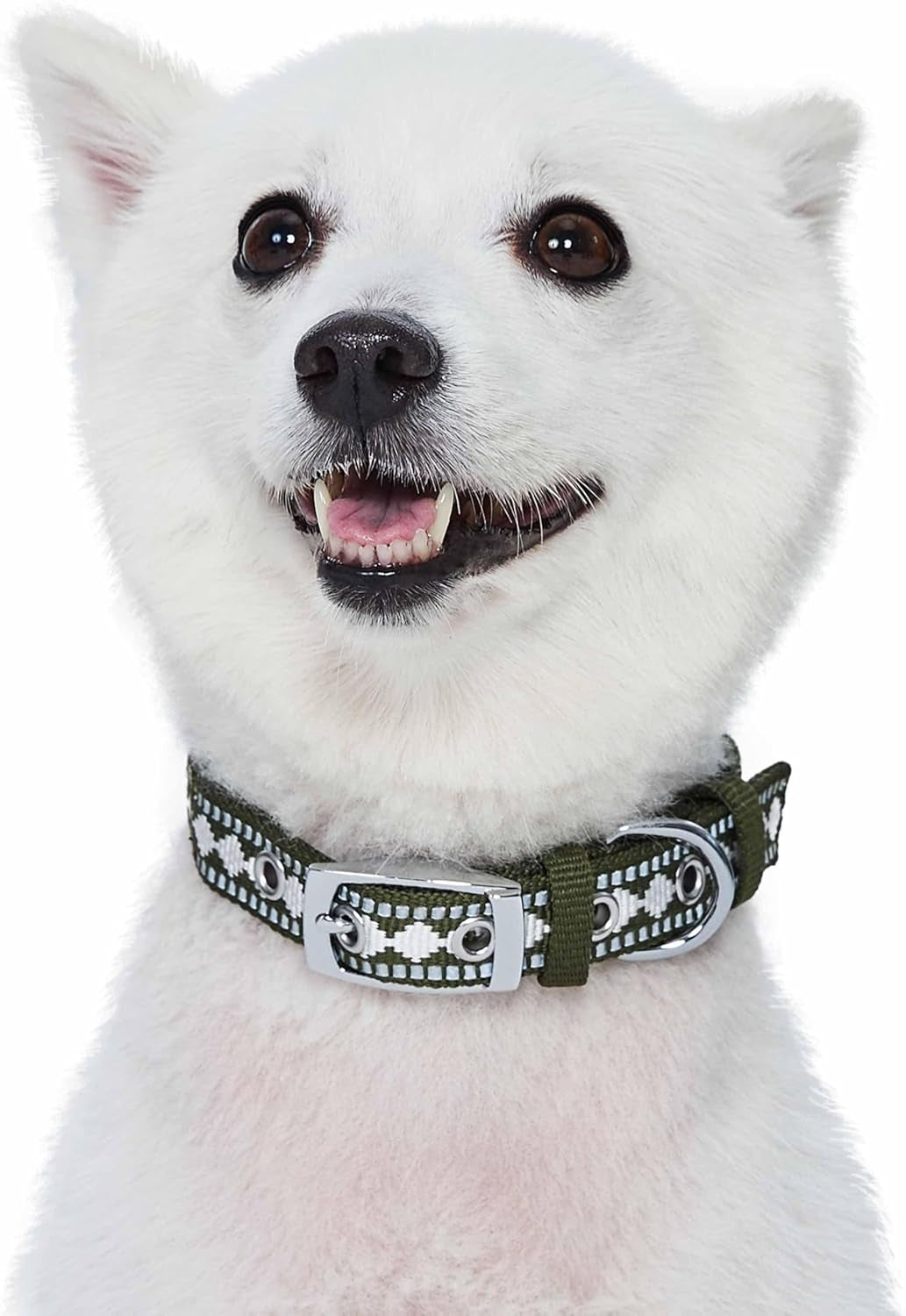 Reflective Jacquard Dog Collar with Neoprene Padding & Metal Buckle | Soft & Adjustable Safety Collar - Olive, Neck 13-16.5", for Medium Breed