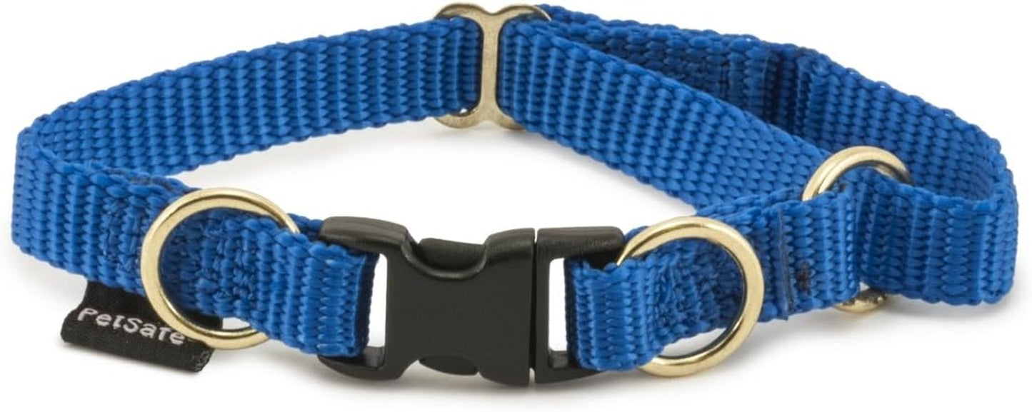 Keepsafe Collar for Dogs - Protects against Collar Accidents - Long Lasting - Durable - Adjustable - Breakaway - Outdoor-Safe - Large - 1 In. Wide - Black