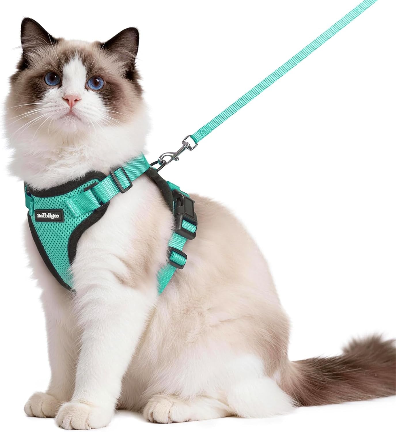Cat Harness and Leash for Walking, Escape Proof Soft Adjustable Vest Harnesses for Cats, Easy Control Breathable Reflective Strips Jacket, Black, XS