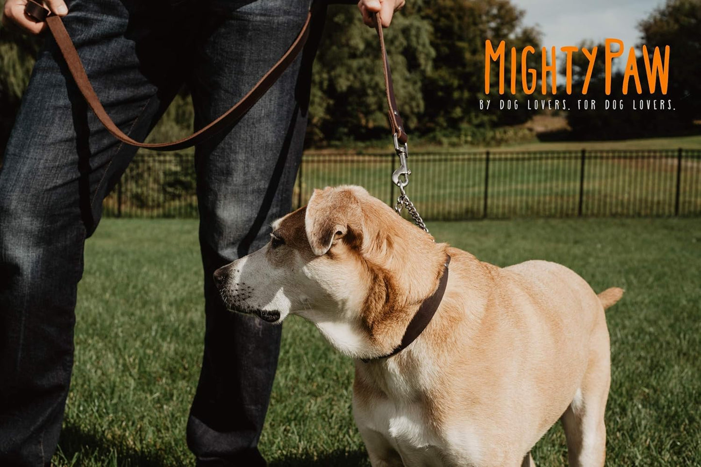 Martingale Dog Collar - No Pull Design - Stainless Steel Chain - Limited Chain Cinch Training - Brown Leather Martingale Training Collar - Small Size