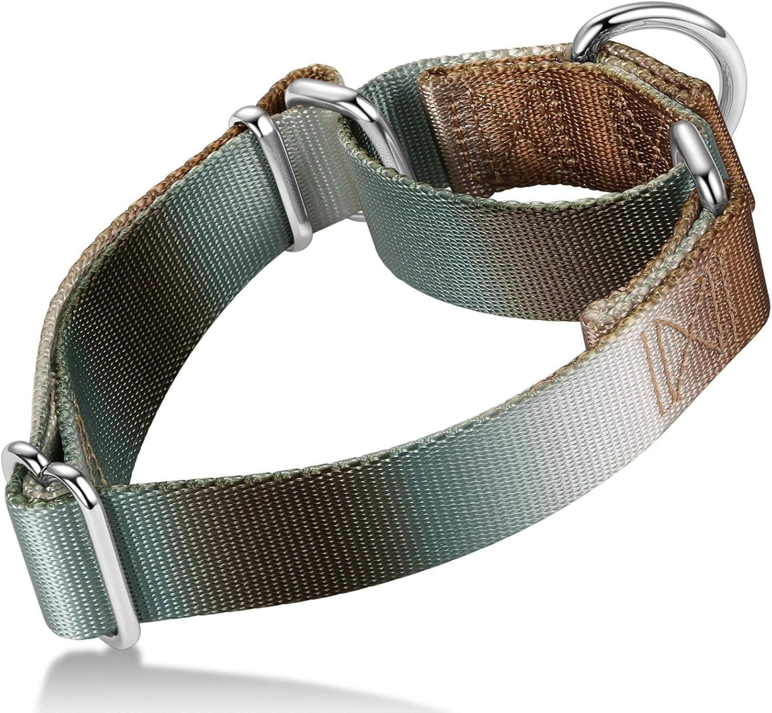 Martingale Dog Collar Colorful Gradient Fashionable - Anti-Escape Soft Durable Pets Collar for Walking Training Outdoor Daily Use -Medium,Turquoise Gradient