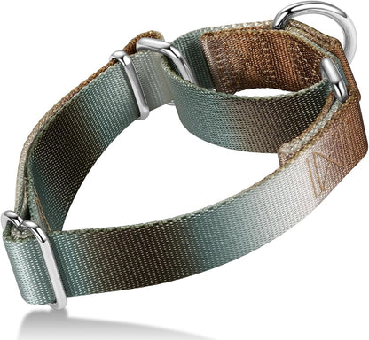 Martingale Dog Collar Colorful Gradient Fashionable - Anti-Escape Soft Durable Pets Collar for Walking Training Outdoor Daily Use -Medium,Turquoise Gradient