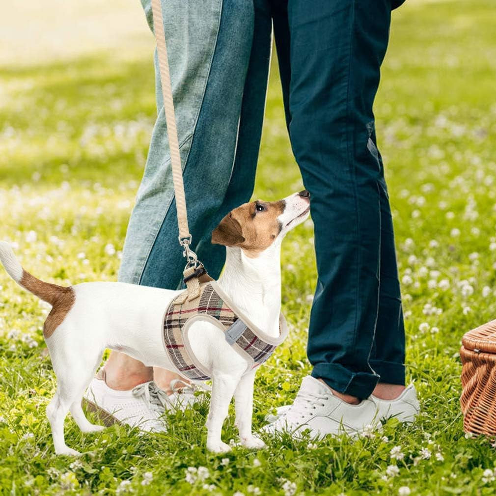 Adjustable Pet Harness Collar &Leash Set Step in for Small Dogs Puppy &Cats Outdoor Training &Running, Soft Mesh Padded Reflective Vest Harness,M: Chest Girth: 16-18In Collar: 11.8-15.7In
