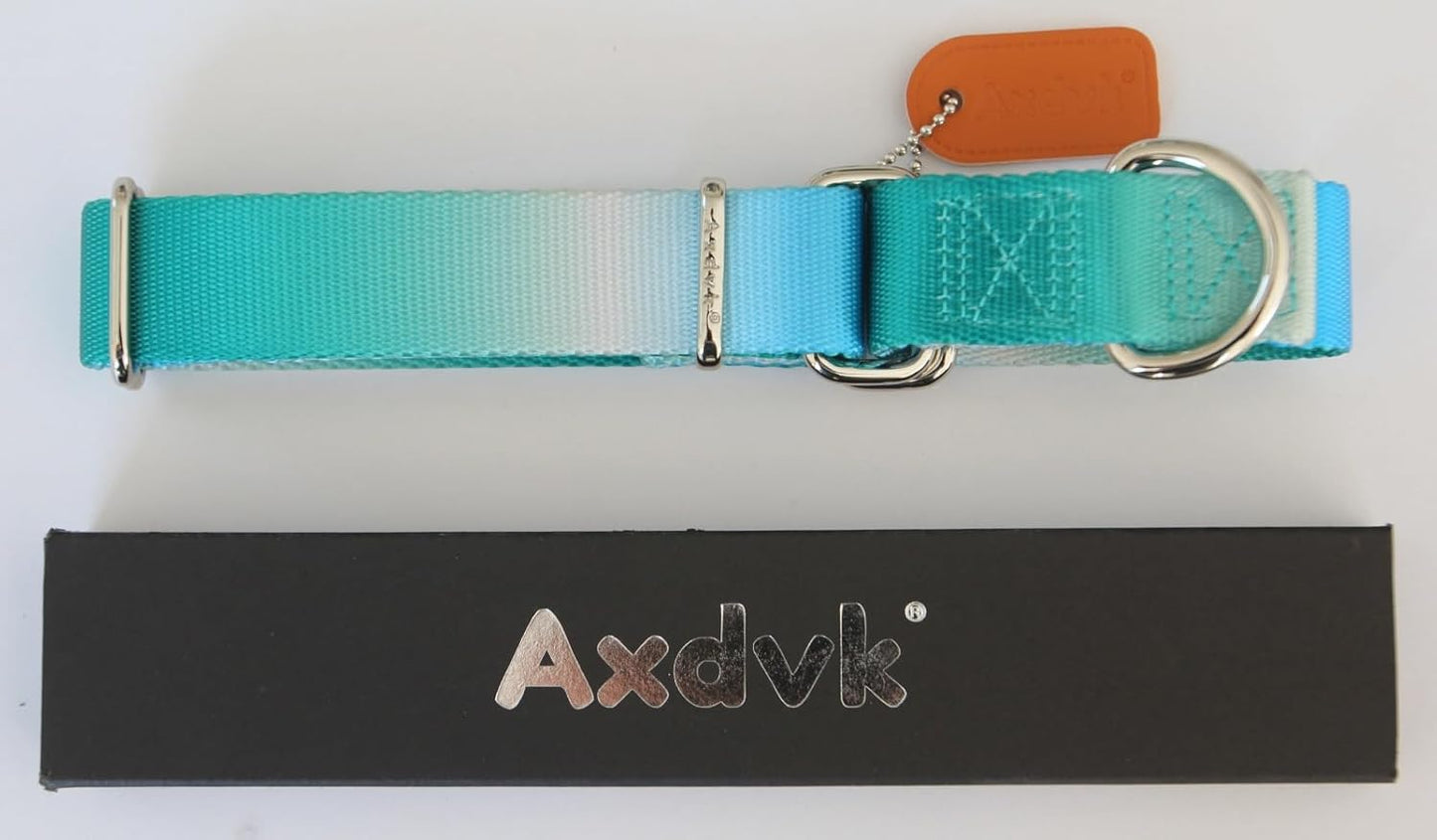 Martingale Dog Collar Colorful Gradient Fashionable - Anti-Escape Soft Durable Pets Collar for Walking Training Outdoor Daily Use -Medium,Turquoise Gradient