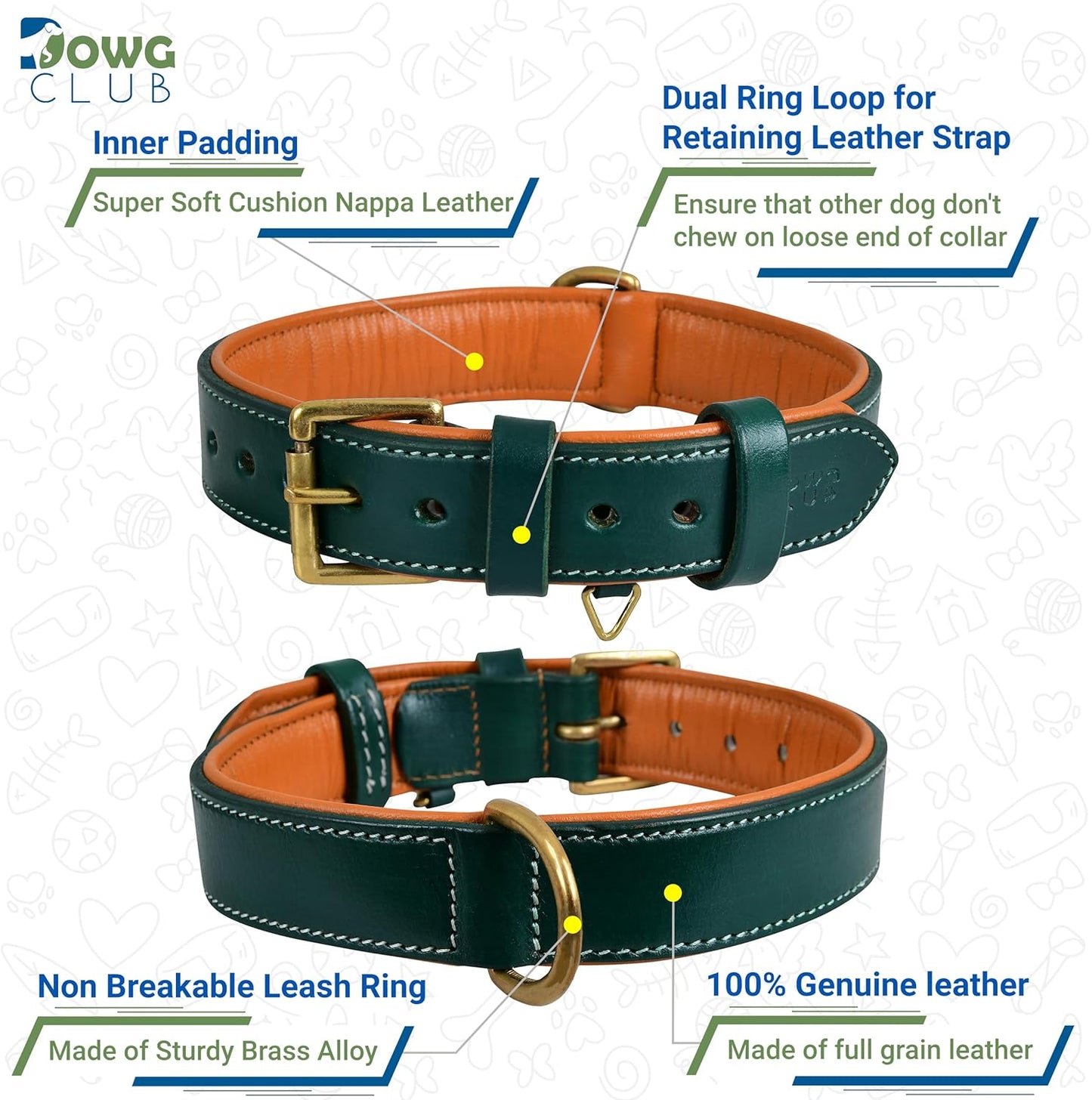 Genuine Leather Dog Collar | Full Grain, Heavy Duty, Comfortable, Padded, Strong | Best for Pups, Small, Medium, Large & XL Breeds (Medium (Fit Neck Size 14.5"-18.5"), Teal Green)
