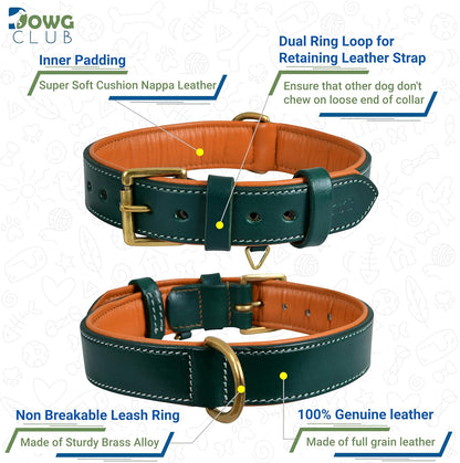 Genuine Leather Dog Collar | Full Grain, Heavy Duty, Comfortable, Padded, Strong | Best for Pups, Small, Medium, Large & XL Breeds (Medium (Fit Neck Size 14.5"-18.5"), Teal Green)