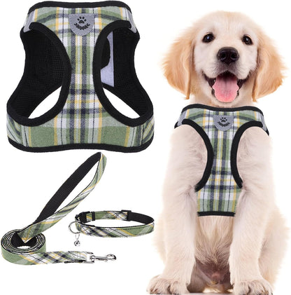 Adjustable Pet Harness Collar &Leash Set Step in for Small Dogs Puppy &Cats Outdoor Training &Running, Soft Mesh Padded Reflective Vest Harness,M: Chest Girth: 16-18In Collar: 11.8-15.7In