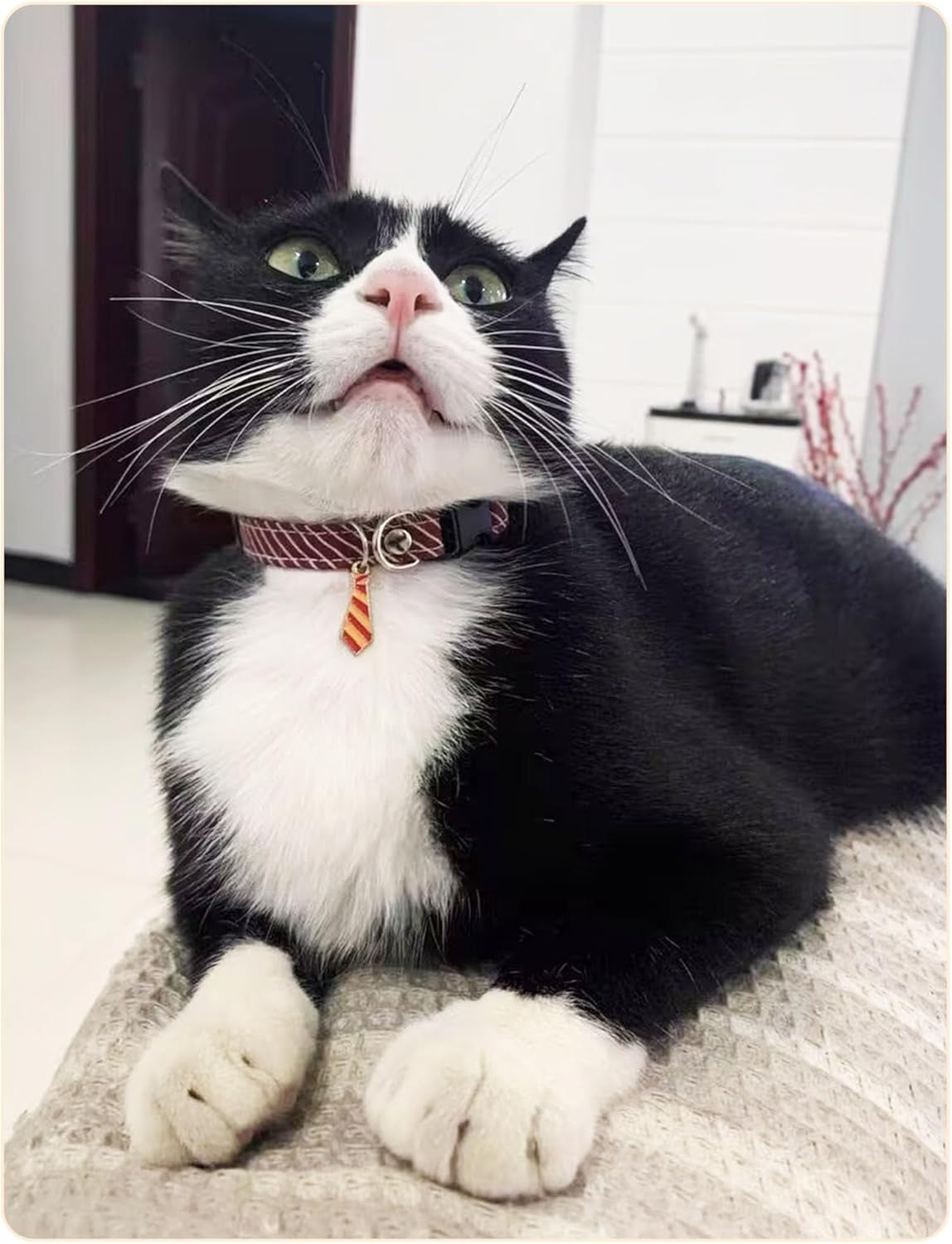 3 Pack Classic Stripes Cat Collars - Breakaway Kitten Collar and Adjustable 7.8-11.8 In，Cute Neckties Kitty Collar for Wedding Formal and Party